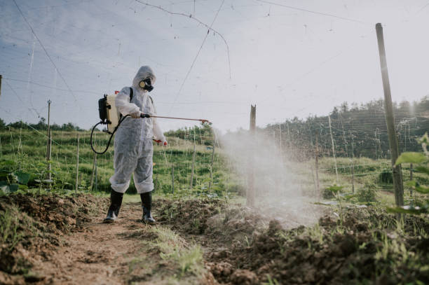 Best Local Pest Control Services  in Temple, PA